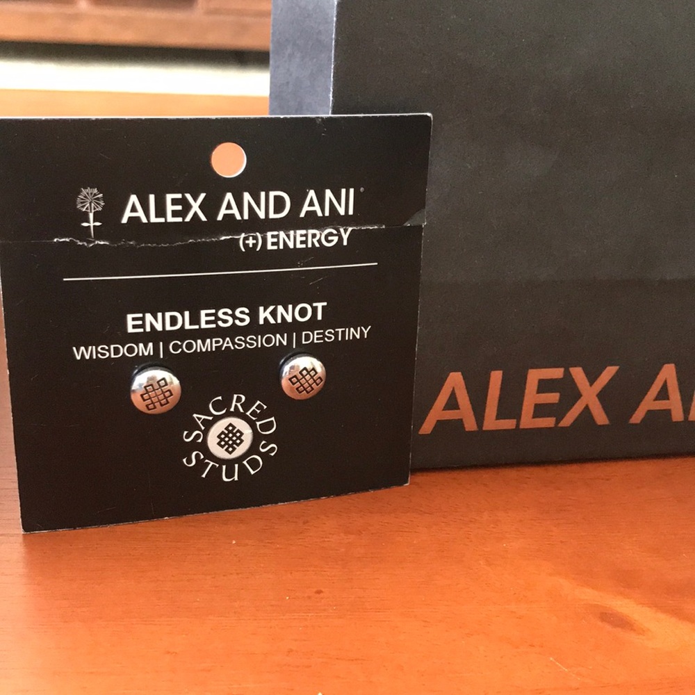 Alex and Ani Earrings